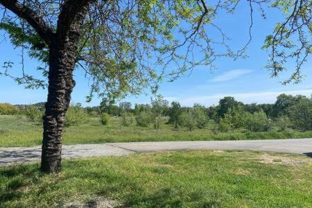 Country Charmer Single Story Cottage Pet Friendly Loomis Exterior photo